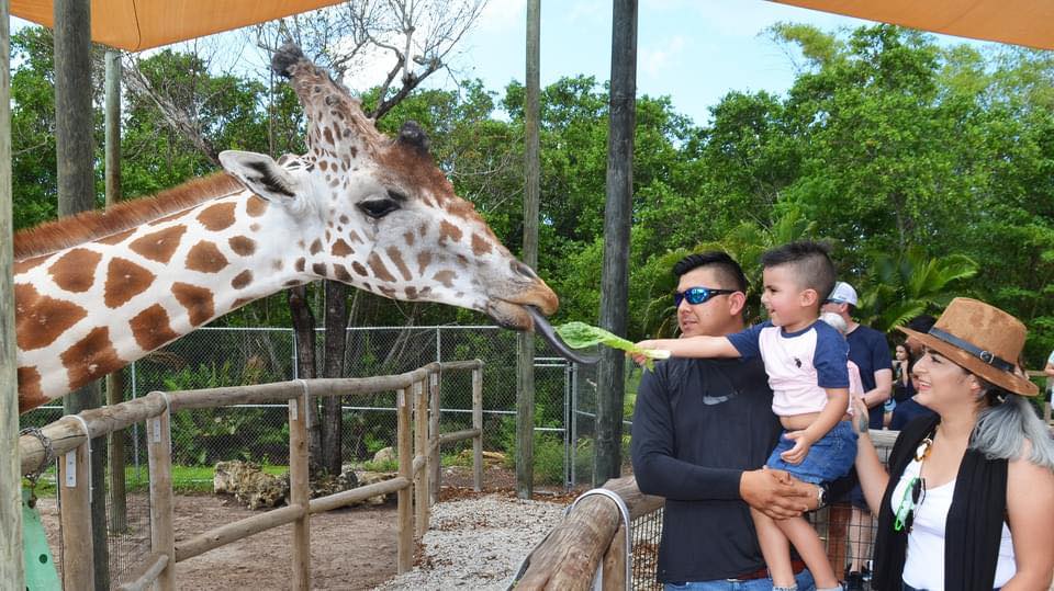 Naples Zoo
